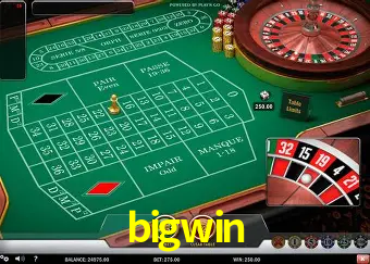 A Experiência Imersiva dos Cassinos Ao Vivo no bigwin